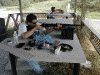p8170038.gif (137013 bytes)